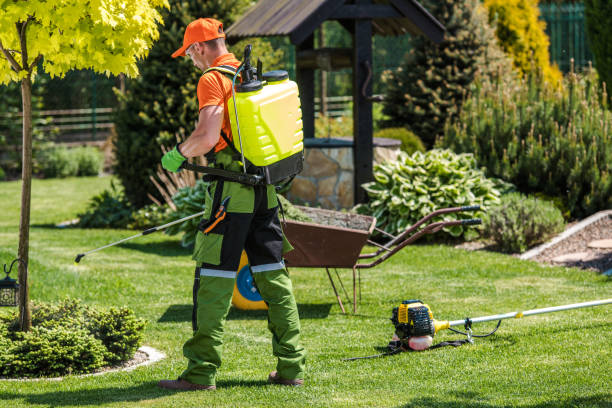 Best Bee and Wasp Removal  in Aldan, PA